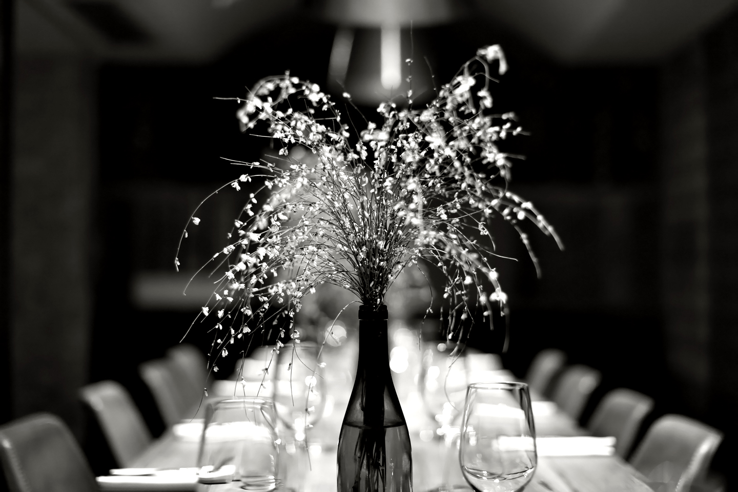 Margaux restaurant interior and dining room, South Kensington